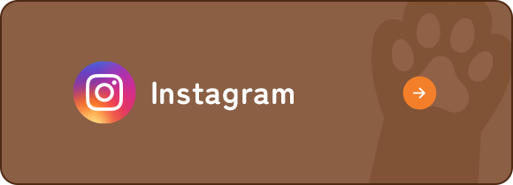 bnrhalf_insta